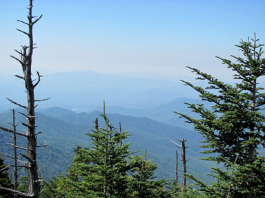 Clingman's Dome